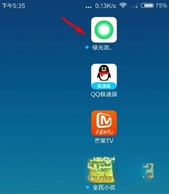 绿光浏览器图标