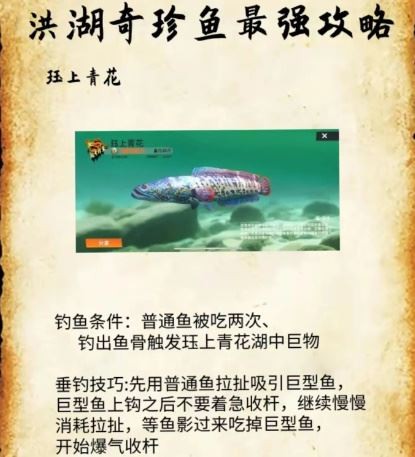 欢乐钓鱼大师小米版