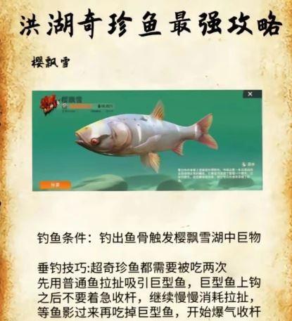 欢乐钓鱼大师小米版