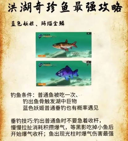 欢乐钓鱼大师小米版