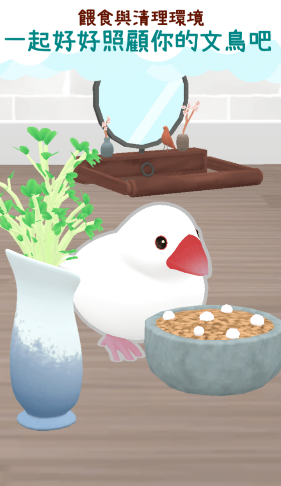 文鸟物语游戏截图4