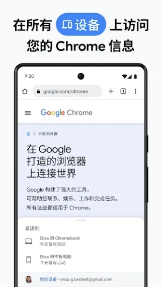 谷歌浏览器手机版截图2