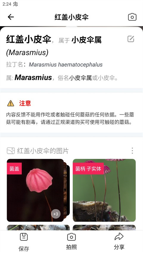 蘑菇识别扫一扫软件