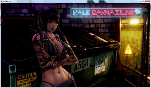 康乃馨俱乐部直装版截图2