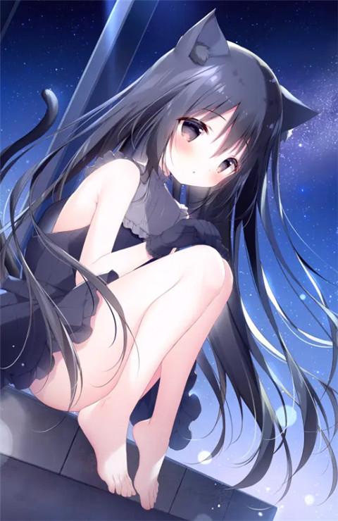 星空列车与白的旅行直装版