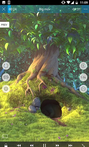 Nplayer播放器历史版本截图3