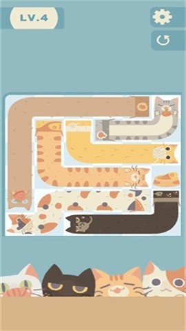 管道猫咪中文版