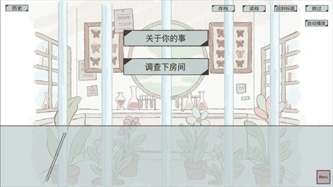 在标本箱中等待羽化