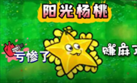 废物大战僵尸超模版