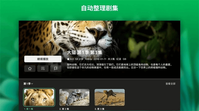 VidHub电视版截图4