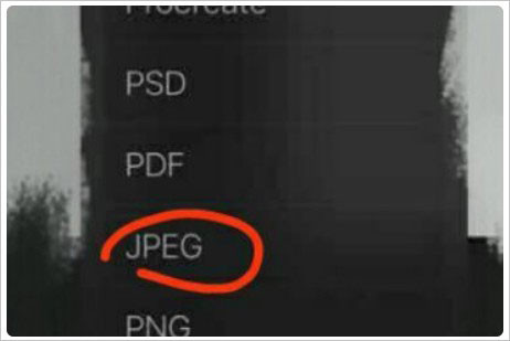 Procreate绘画软件