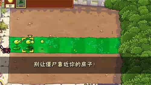 植物大战僵尸TEN版下载截图2