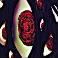 异想体介绍配图2