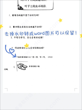 蜜蜂试卷官方正版