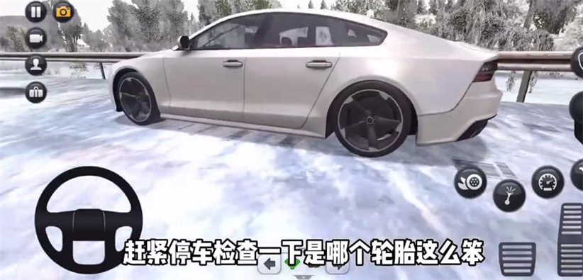 终极卡车模拟器截图3