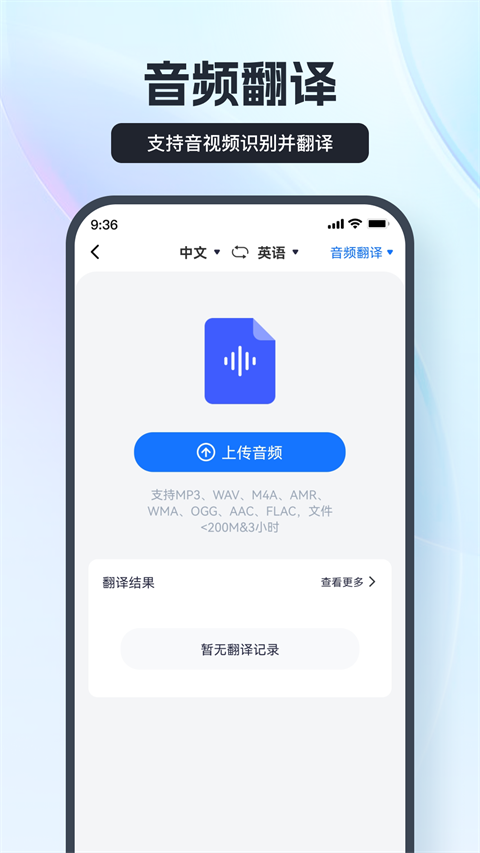 语音翻译王手机版免费下载截图3