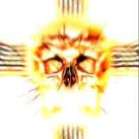 脑叶公司汉化版