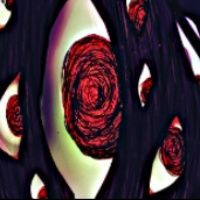 脑叶公司汉化版