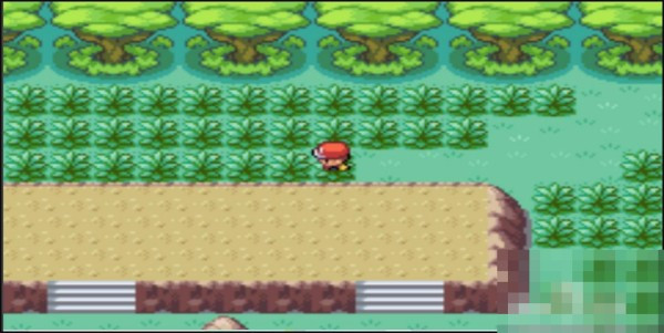 袋兽抓捕教程配图3