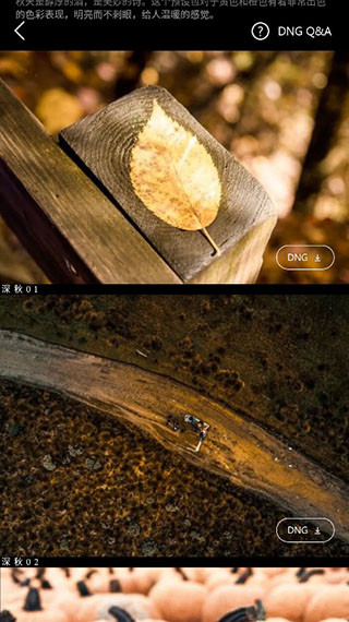 lr滤镜君安卓版