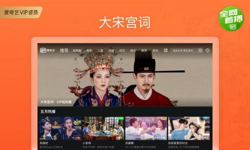 爱奇艺车机版截图3