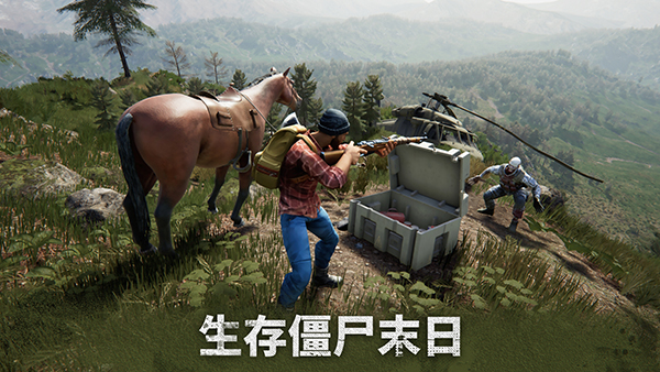 几日之后中文版