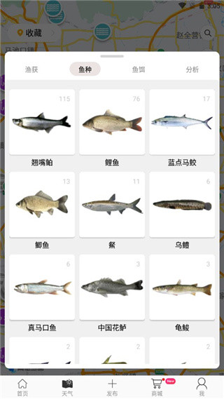 渔获潮汐天气