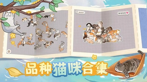 挤在一起的猫猫手机版截图5