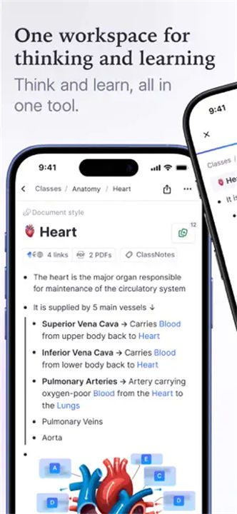 RemNote手机版截图4