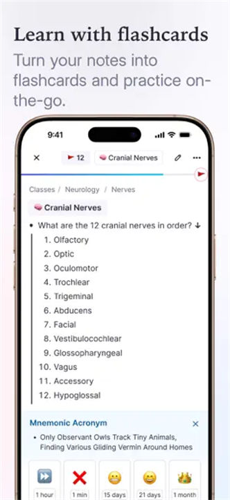 RemNote手机版截图6