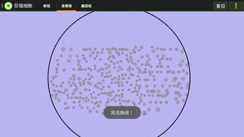 细胞实验室中文版截图1