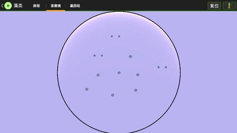 细胞实验室中文版截图3