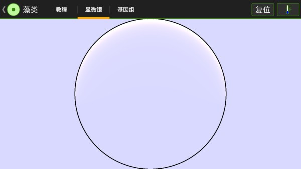 游戏攻略6