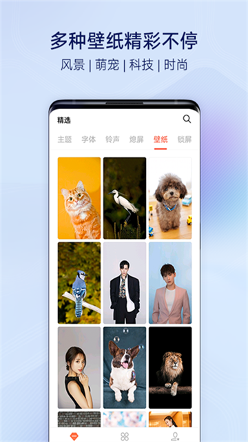 vivo主题商店官方正版下载截图2