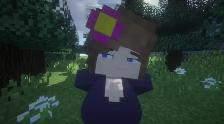 魅魔模组原珍妮模组安装包截图1