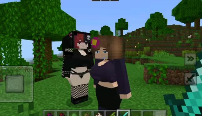 魅魔模组原珍妮模组安装包截图2