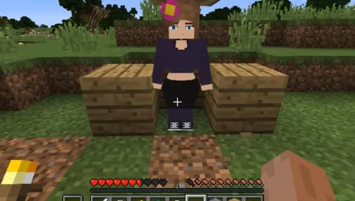 魅魔模组原珍妮模组安装包截图3