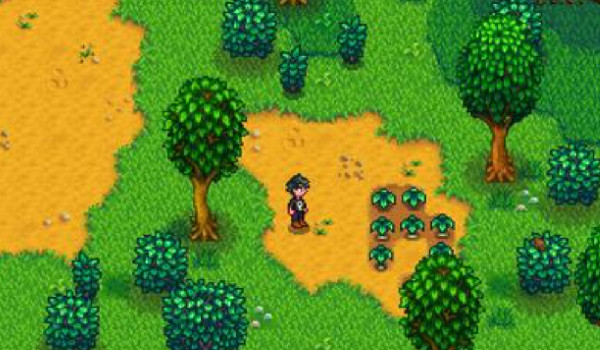 星露谷物语1.6手机版