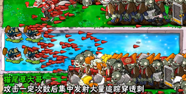 植物介绍配图24