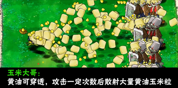 植物介绍配图21