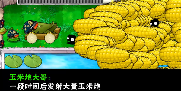 植物介绍配图25