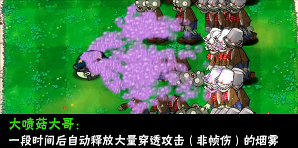 植物介绍配图8