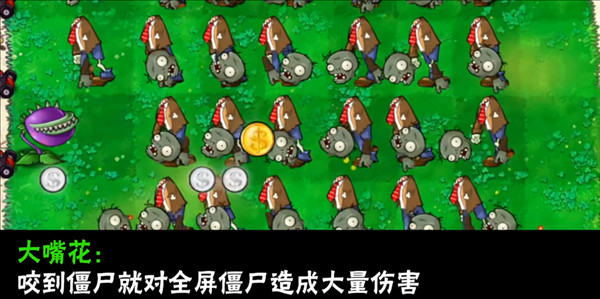 植物介绍配图6