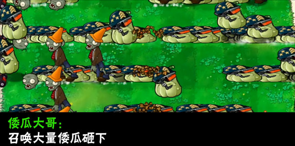 植物介绍配图14