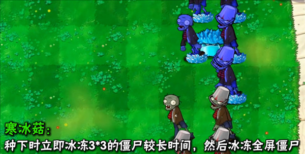 植物介绍配图7