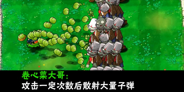 植物介绍配图20