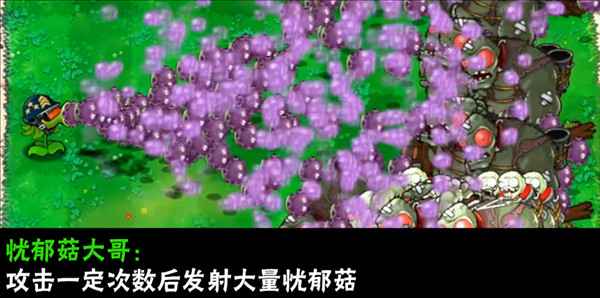 植物介绍配图23