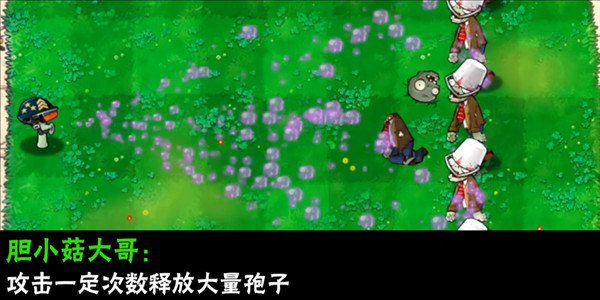 植物介绍配图10