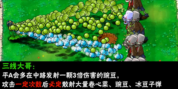 植物介绍配图13