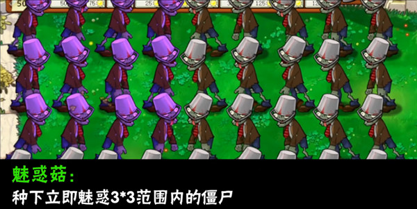 植物介绍配图9
